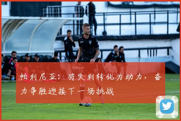 帕利尼亚：将失利转化为动力，奋力争胜迎接下一场挑战