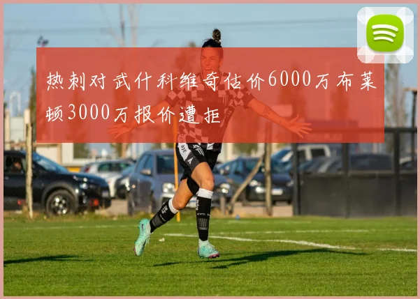 热刺对武什科维奇估价6000万布莱顿3000万报价遭拒